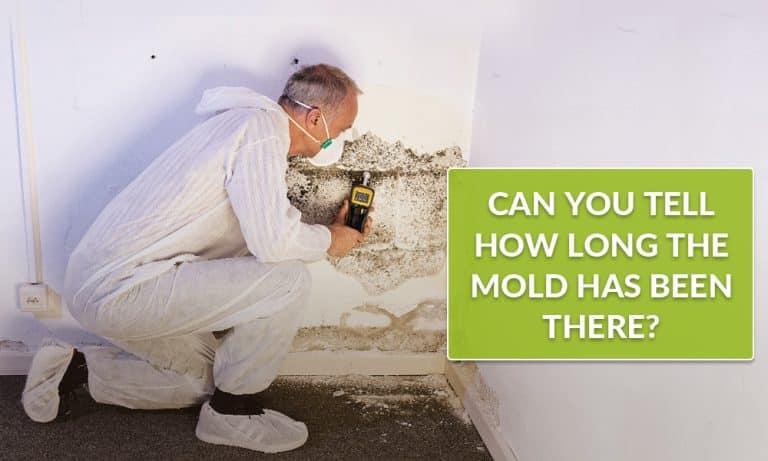 Can-you-tell-how-long-the-mold-has-been-there