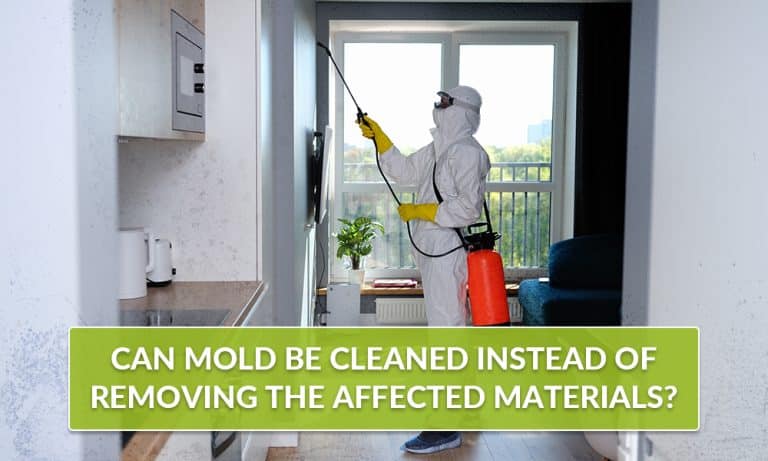 Go-Pro-Restoration-December_Thumbnail-Can-mold-be-cleaned