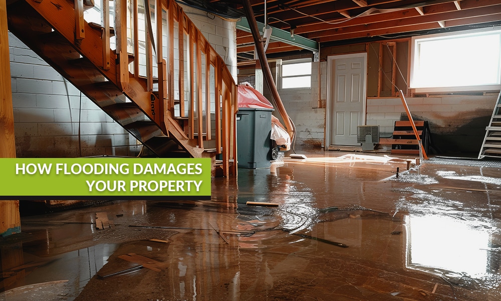 Basement Flooding Protect Your Toronto Home from Downpours