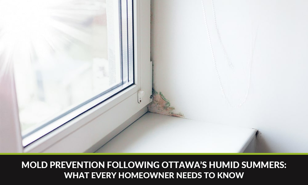 Mold Prevention Following Ottawa’s Humid Summers What Every Homeowner Needs to Know Mold Prevention Following Ottawa’s Humid Summers What Every Homeowner Needs to Know