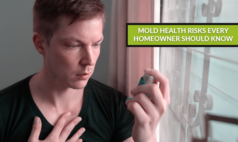 Protect Your Ottawa Home from Mold After Humid Summers